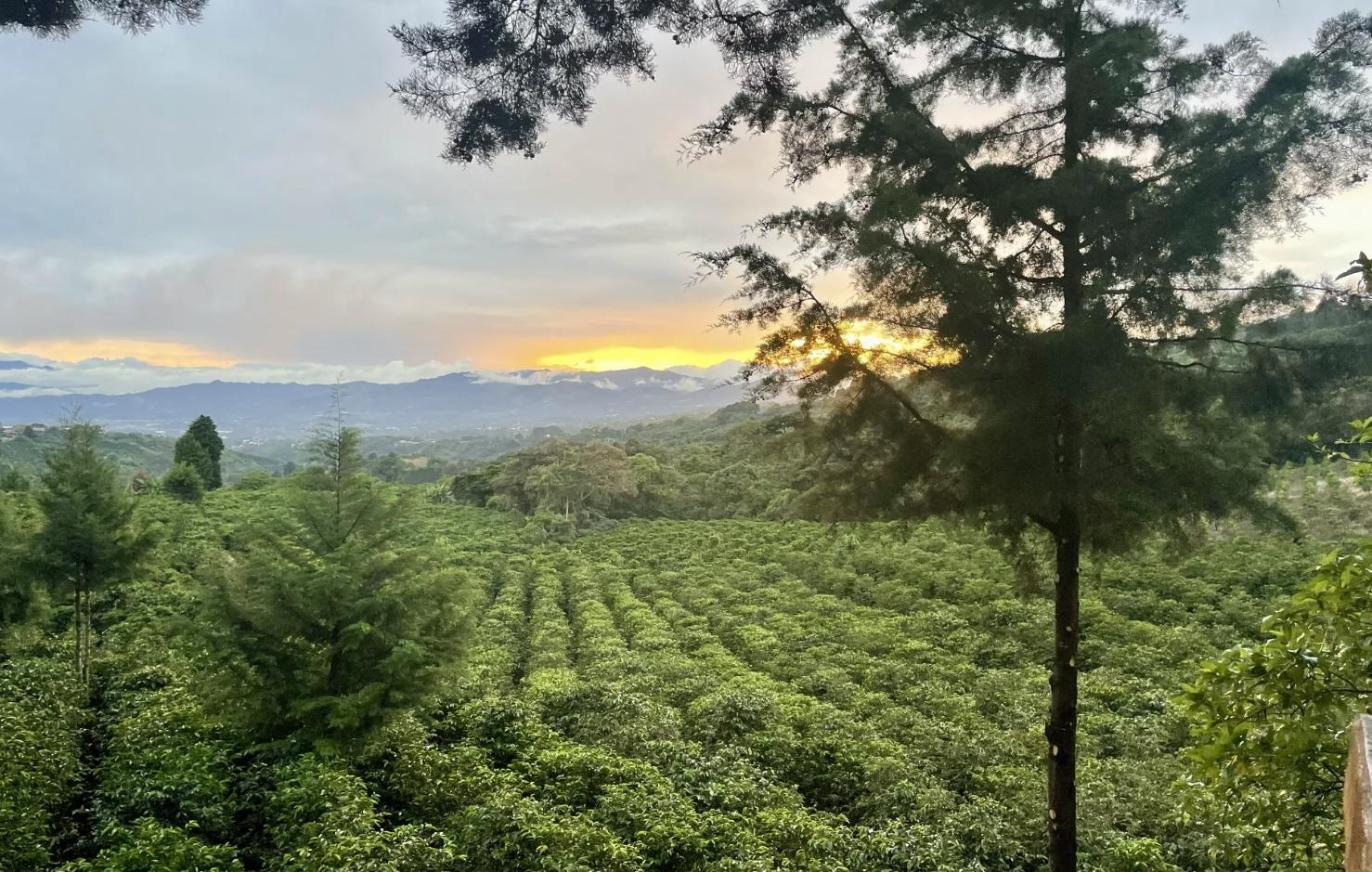 Nordico Coffee Roasters cover photo