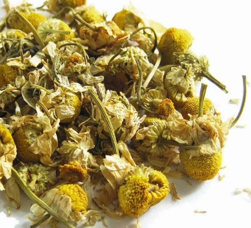 Chausie Chamomile (Herbal Tea)